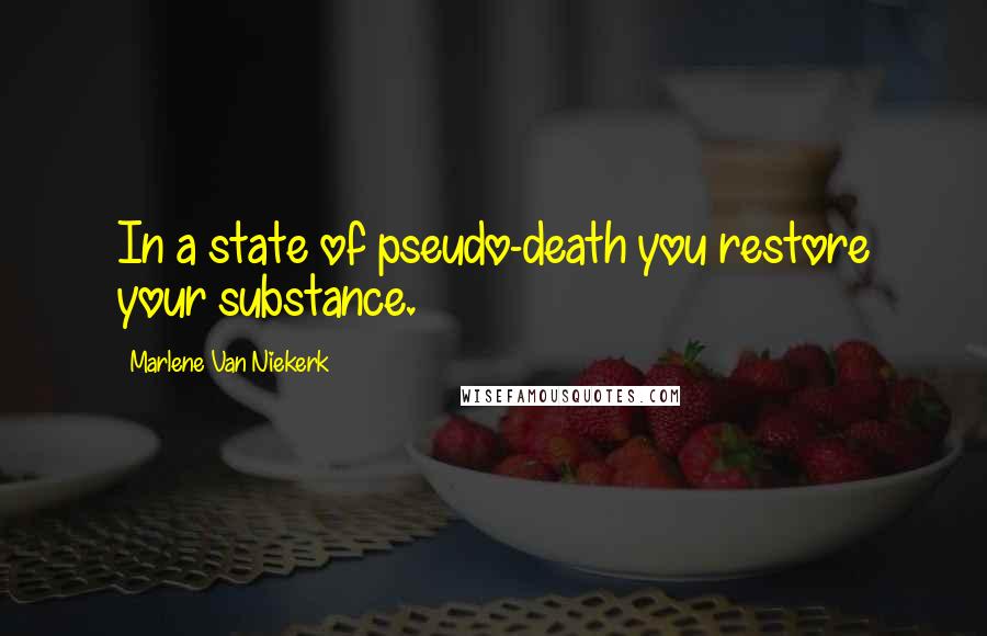 Marlene Van Niekerk Quotes: In a state of pseudo-death you restore your substance.
