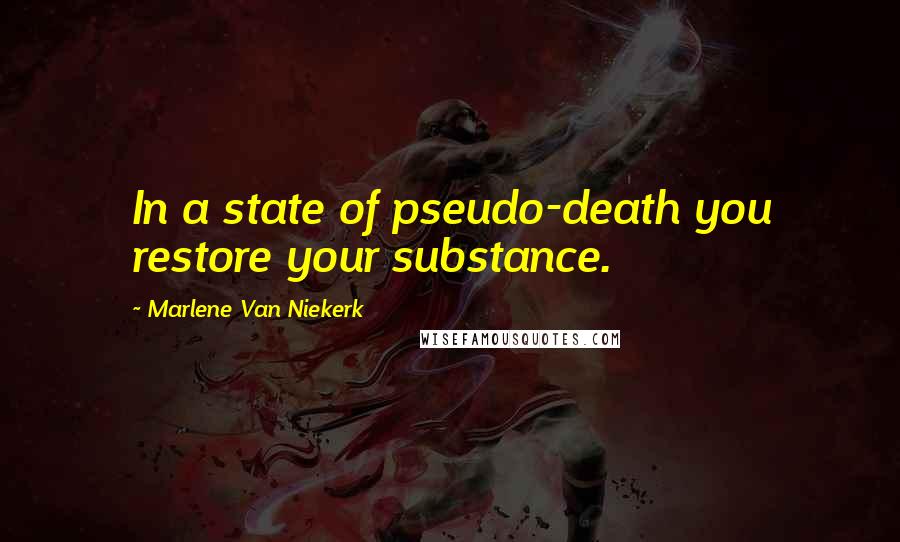 Marlene Van Niekerk Quotes: In a state of pseudo-death you restore your substance.