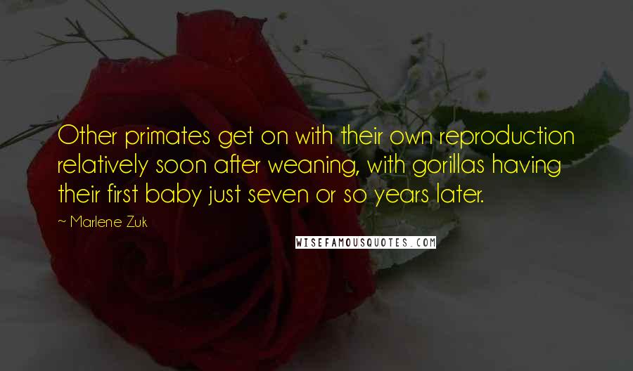 Marlene Zuk Quotes: Other primates get on with their own reproduction relatively soon after weaning, with gorillas having their first baby just seven or so years later.