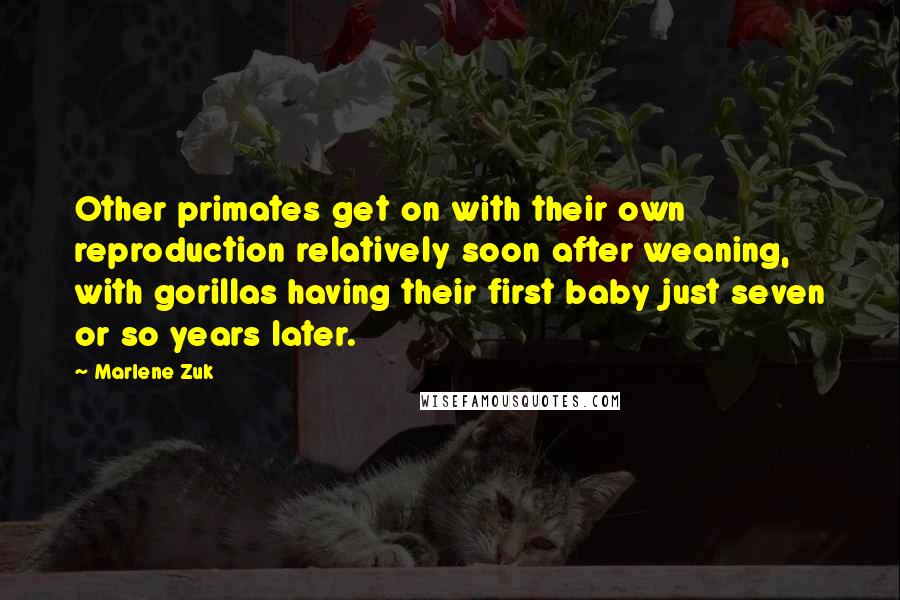 Marlene Zuk Quotes: Other primates get on with their own reproduction relatively soon after weaning, with gorillas having their first baby just seven or so years later.