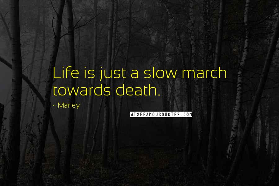 Marley Quotes: Life is just a slow march towards death.