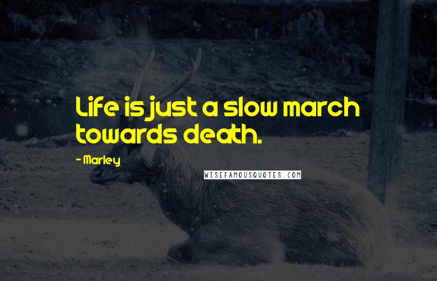 Marley Quotes: Life is just a slow march towards death.