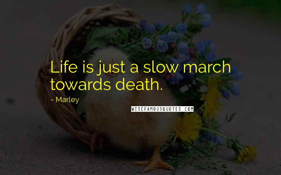 Marley Quotes: Life is just a slow march towards death.