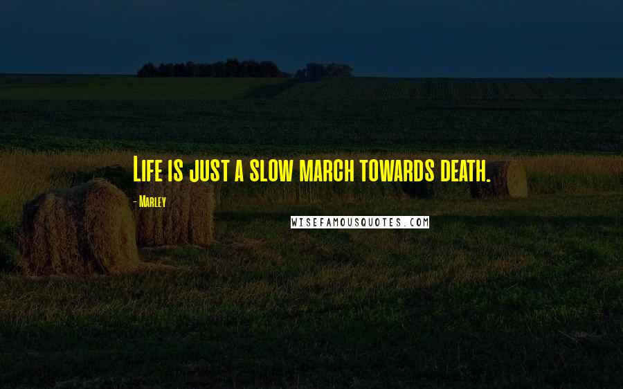 Marley Quotes: Life is just a slow march towards death.