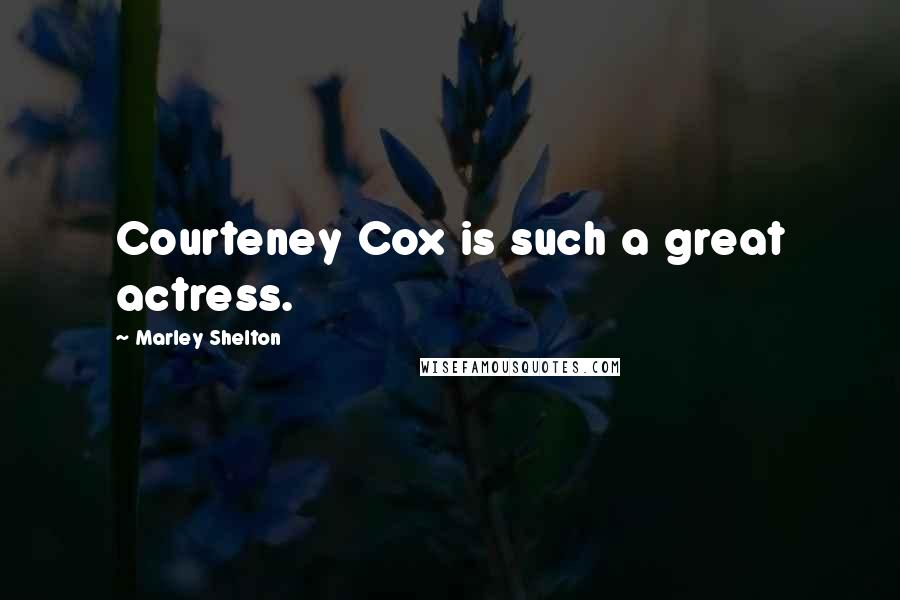 Marley Shelton Quotes: Courteney Cox is such a great actress.