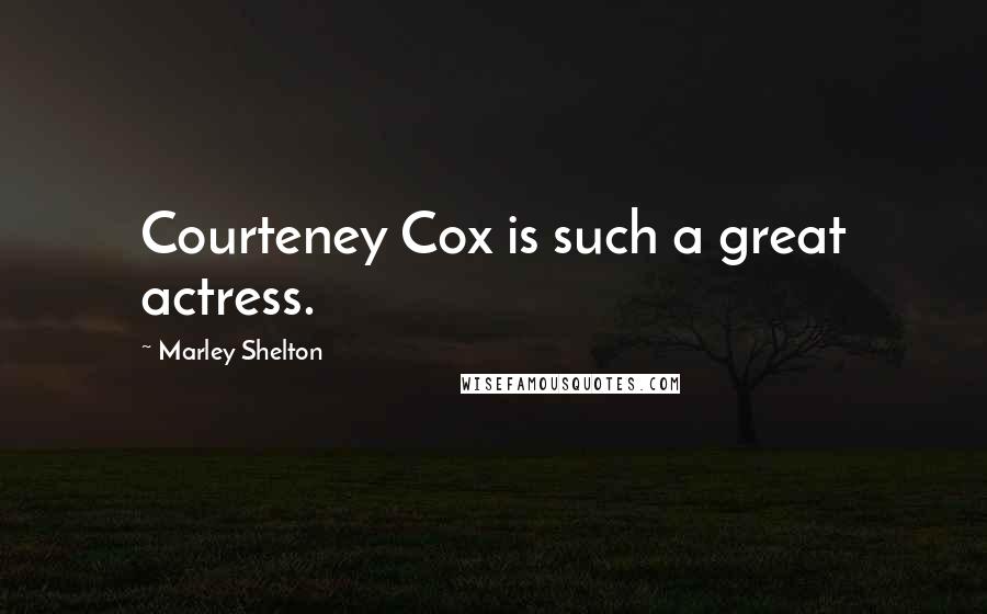 Marley Shelton Quotes: Courteney Cox is such a great actress.