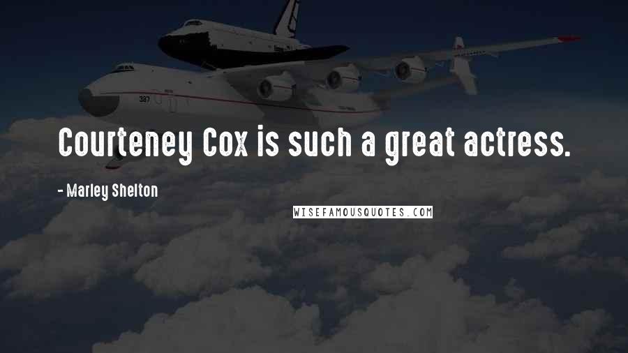 Marley Shelton Quotes: Courteney Cox is such a great actress.