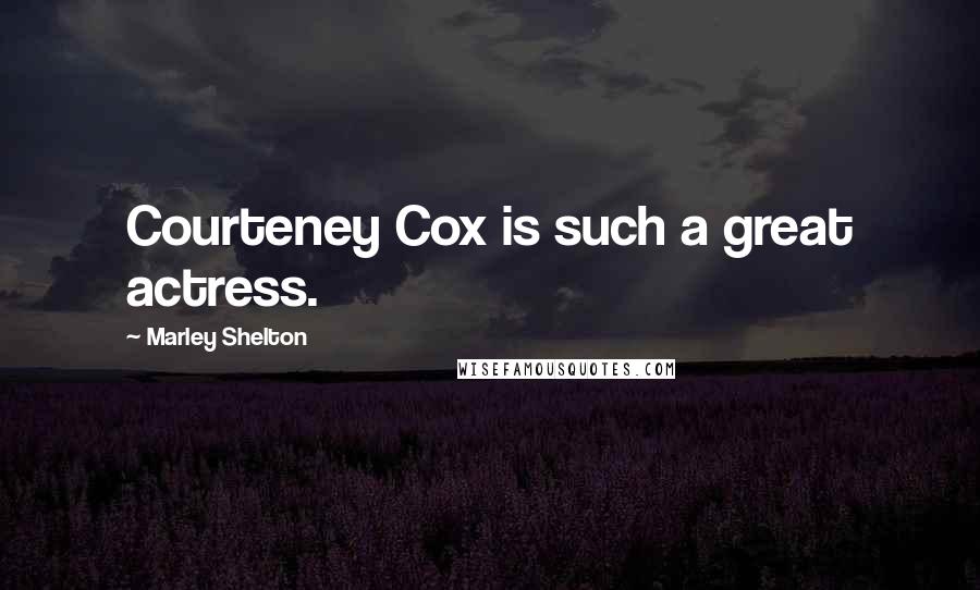 Marley Shelton Quotes: Courteney Cox is such a great actress.