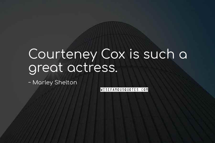 Marley Shelton Quotes: Courteney Cox is such a great actress.