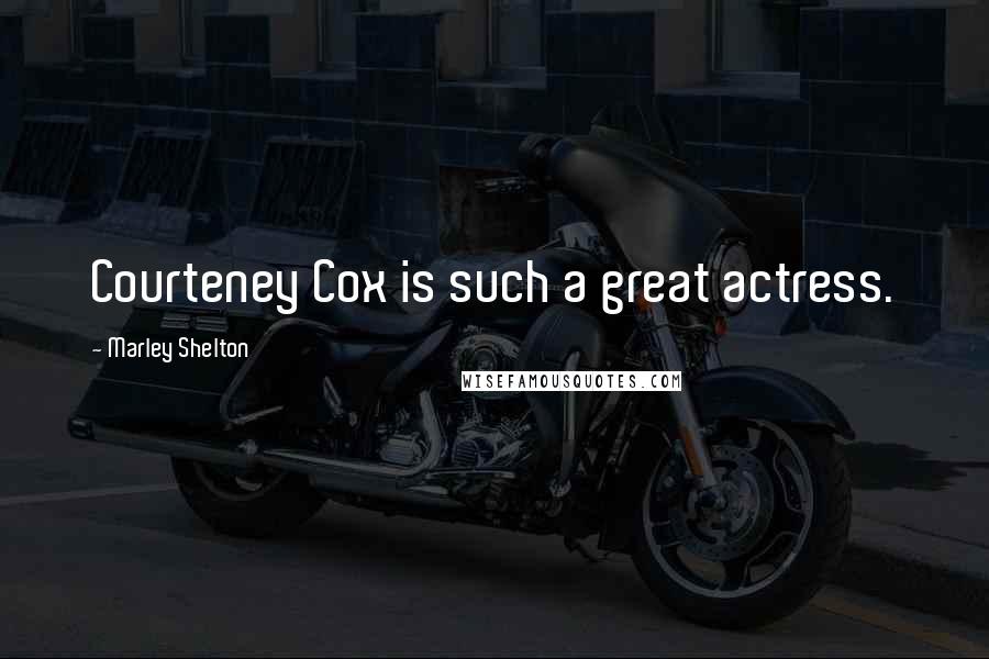 Marley Shelton Quotes: Courteney Cox is such a great actress.
