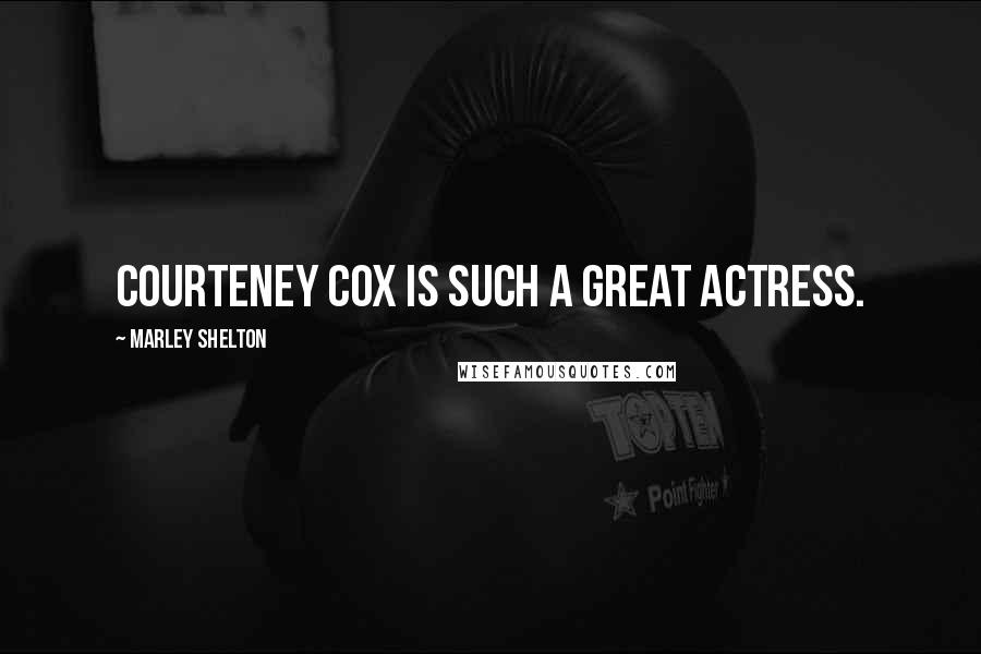 Marley Shelton Quotes: Courteney Cox is such a great actress.