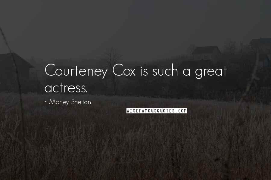 Marley Shelton Quotes: Courteney Cox is such a great actress.