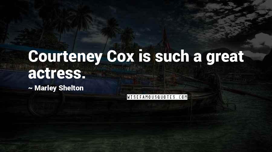 Marley Shelton Quotes: Courteney Cox is such a great actress.