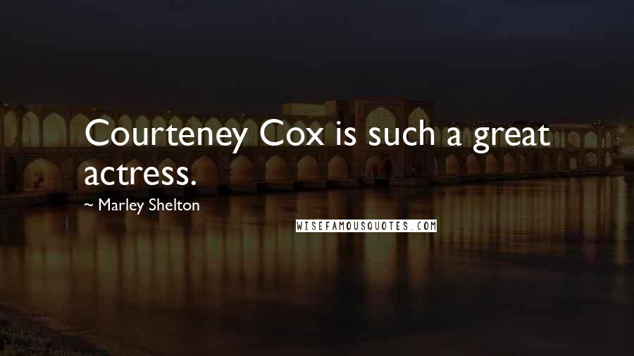 Marley Shelton Quotes: Courteney Cox is such a great actress.