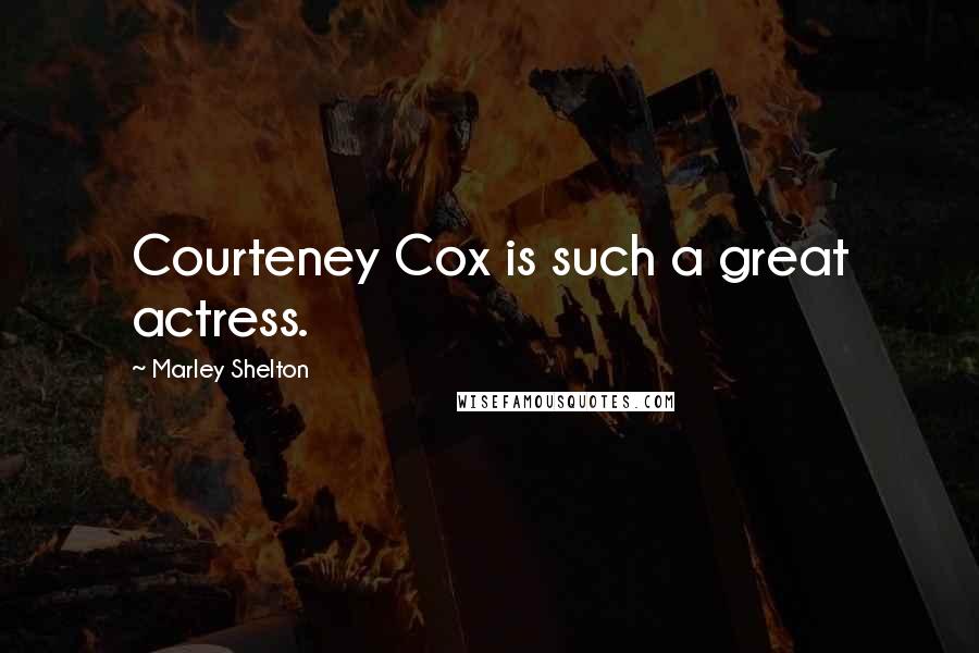 Marley Shelton Quotes: Courteney Cox is such a great actress.