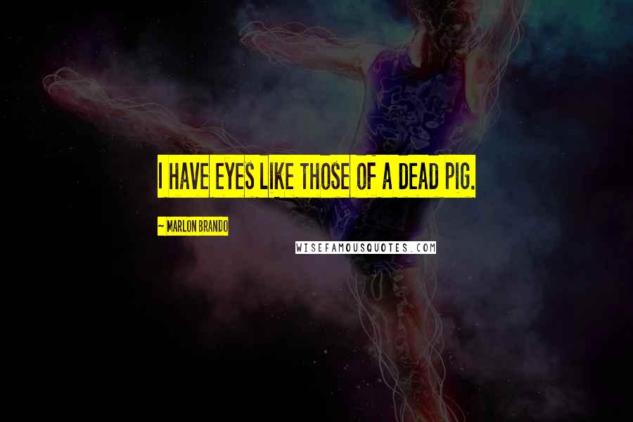 Marlon Brando Quotes: I have eyes like those of a dead pig.