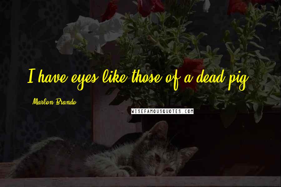 Marlon Brando Quotes: I have eyes like those of a dead pig.
