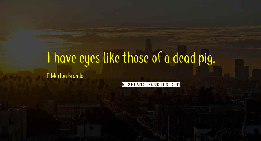 Marlon Brando Quotes: I have eyes like those of a dead pig.