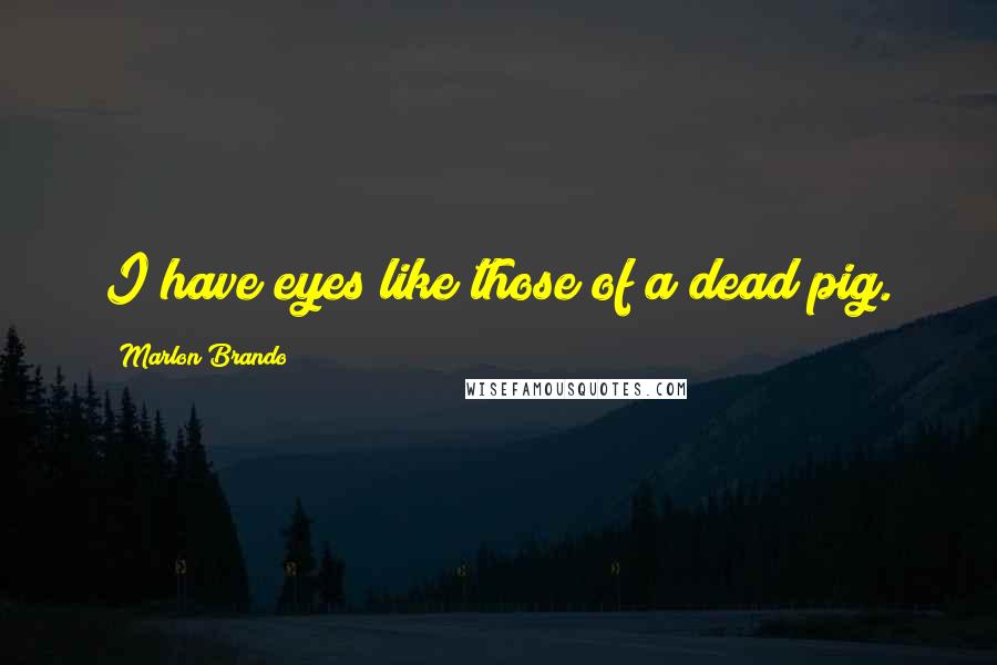Marlon Brando Quotes: I have eyes like those of a dead pig.