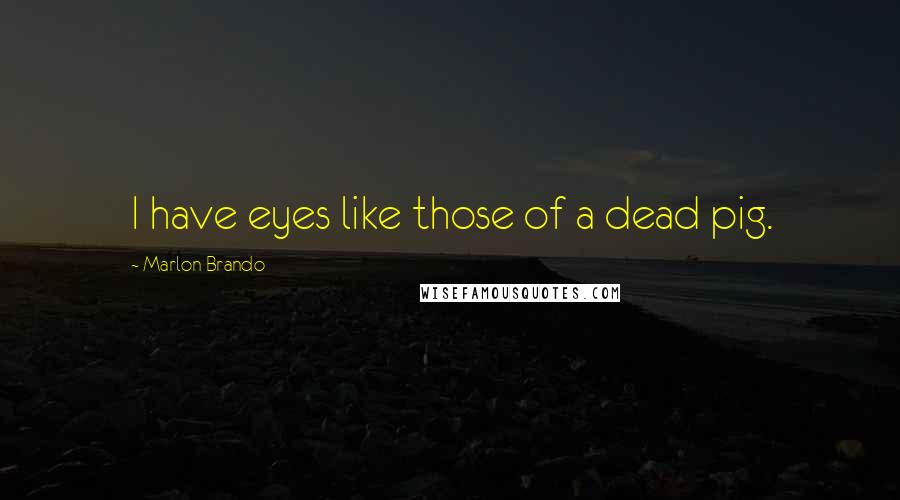 Marlon Brando Quotes: I have eyes like those of a dead pig.