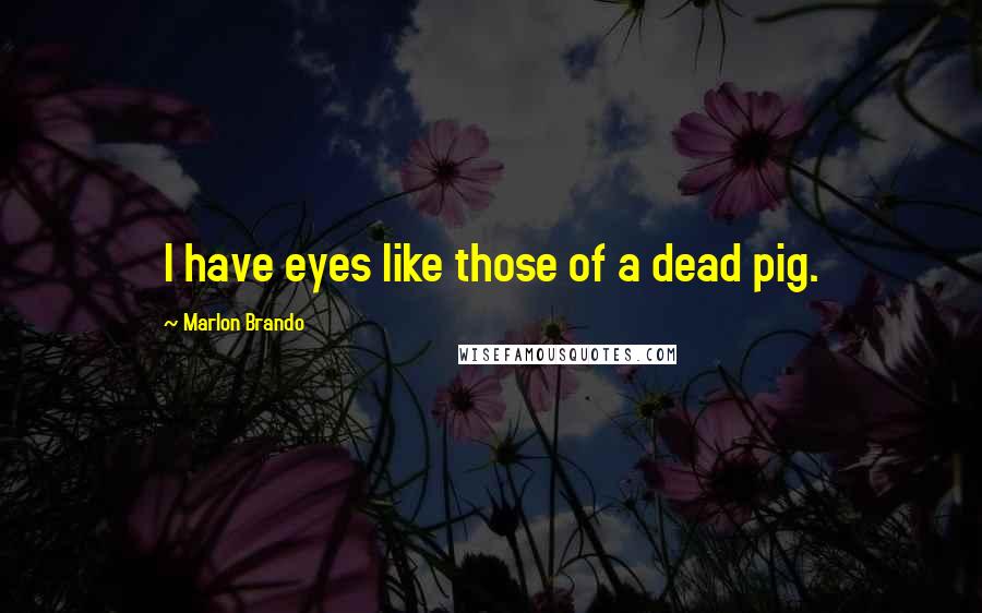 Marlon Brando Quotes: I have eyes like those of a dead pig.