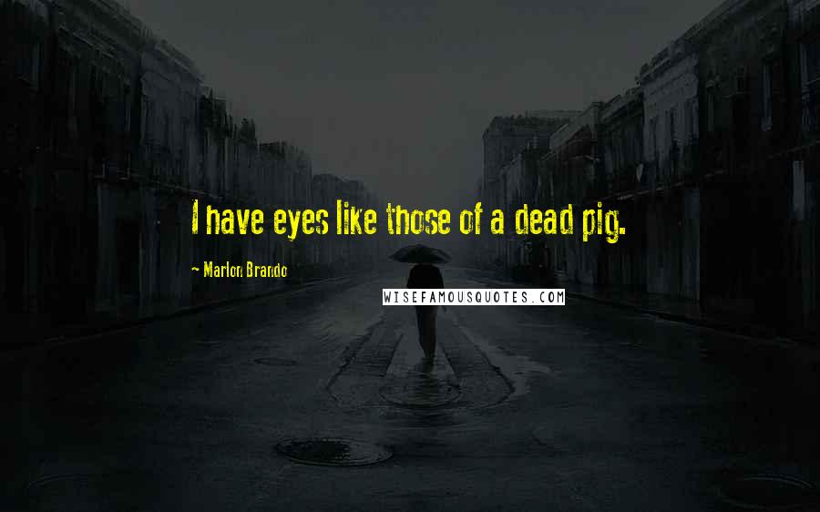 Marlon Brando Quotes: I have eyes like those of a dead pig.