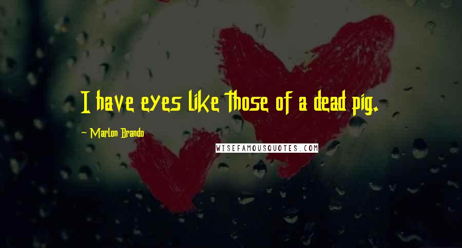 Marlon Brando Quotes: I have eyes like those of a dead pig.