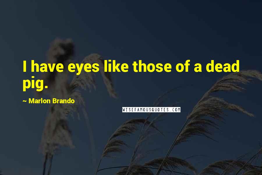 Marlon Brando Quotes: I have eyes like those of a dead pig.