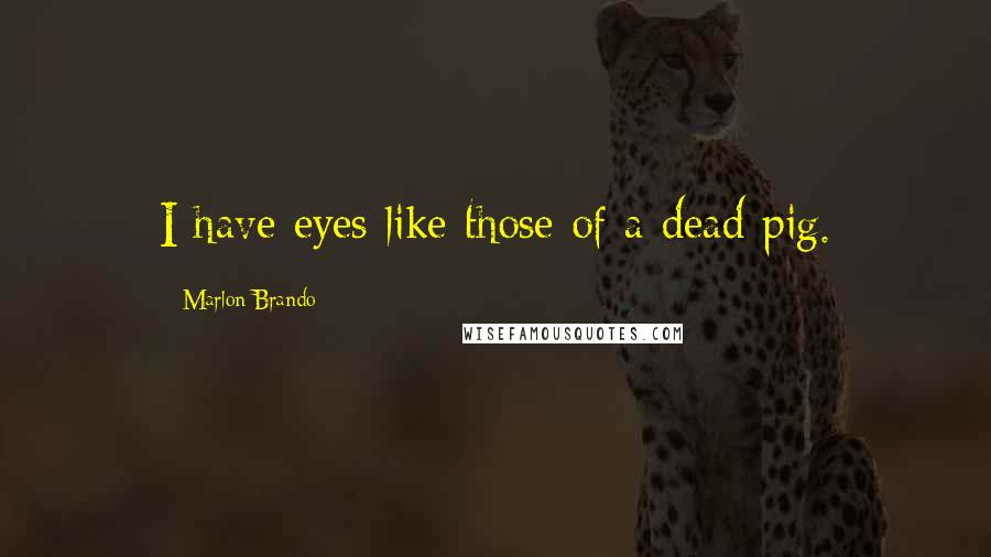 Marlon Brando Quotes: I have eyes like those of a dead pig.