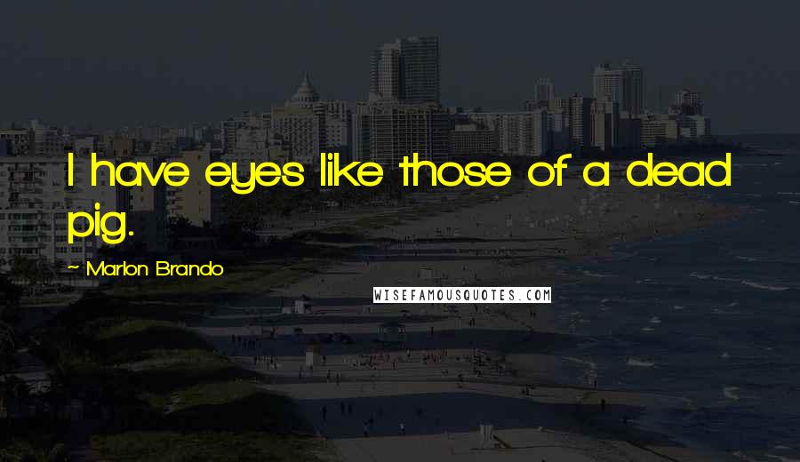 Marlon Brando Quotes: I have eyes like those of a dead pig.