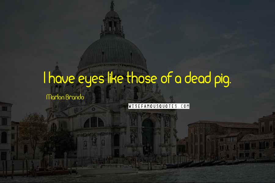 Marlon Brando Quotes: I have eyes like those of a dead pig.