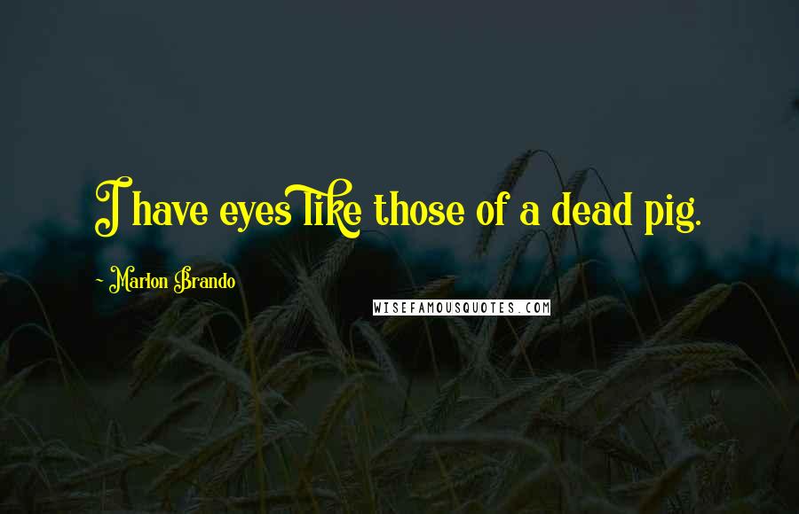 Marlon Brando Quotes: I have eyes like those of a dead pig.