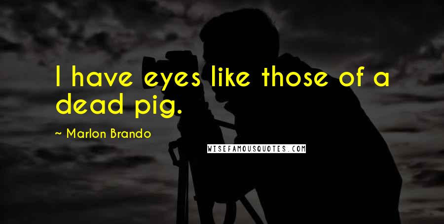 Marlon Brando Quotes: I have eyes like those of a dead pig.