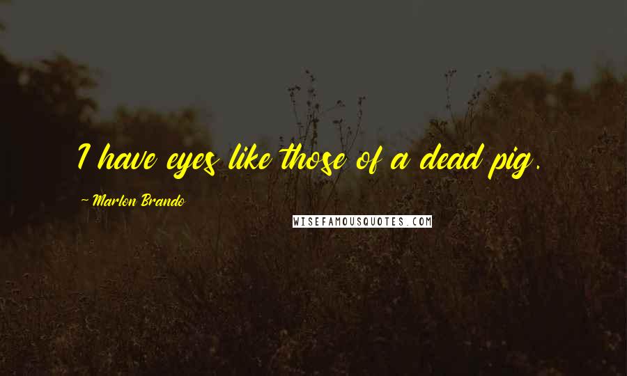 Marlon Brando Quotes: I have eyes like those of a dead pig.