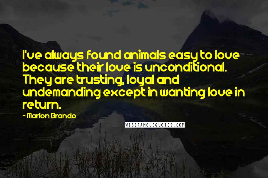 Marlon Brando Quotes: I've always found animals easy to love because their love is unconditional. They are trusting, loyal and undemanding except in wanting love in return.