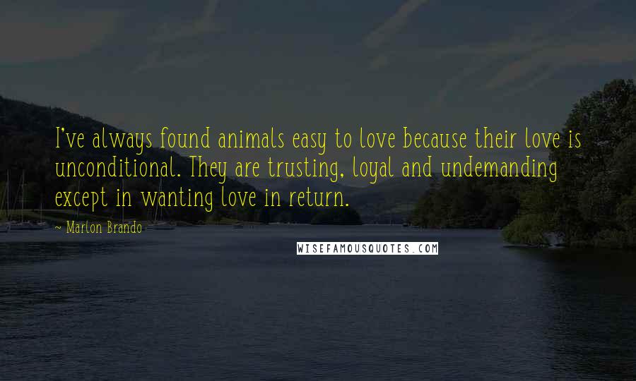 Marlon Brando Quotes: I've always found animals easy to love because their love is unconditional. They are trusting, loyal and undemanding except in wanting love in return.