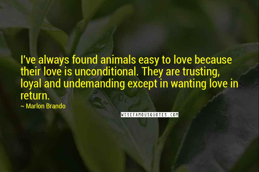 Marlon Brando Quotes: I've always found animals easy to love because their love is unconditional. They are trusting, loyal and undemanding except in wanting love in return.