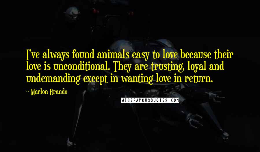 Marlon Brando Quotes: I've always found animals easy to love because their love is unconditional. They are trusting, loyal and undemanding except in wanting love in return.