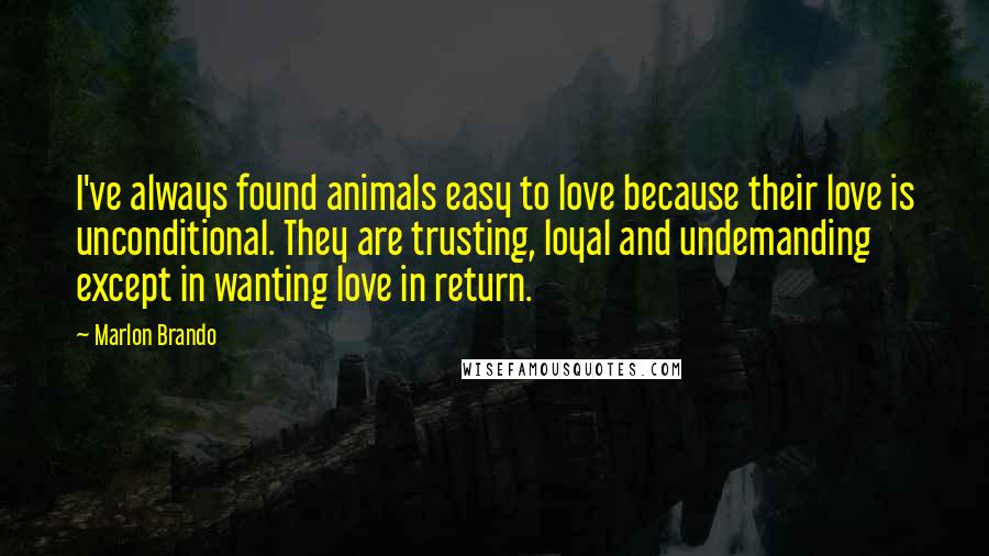 Marlon Brando Quotes: I've always found animals easy to love because their love is unconditional. They are trusting, loyal and undemanding except in wanting love in return.