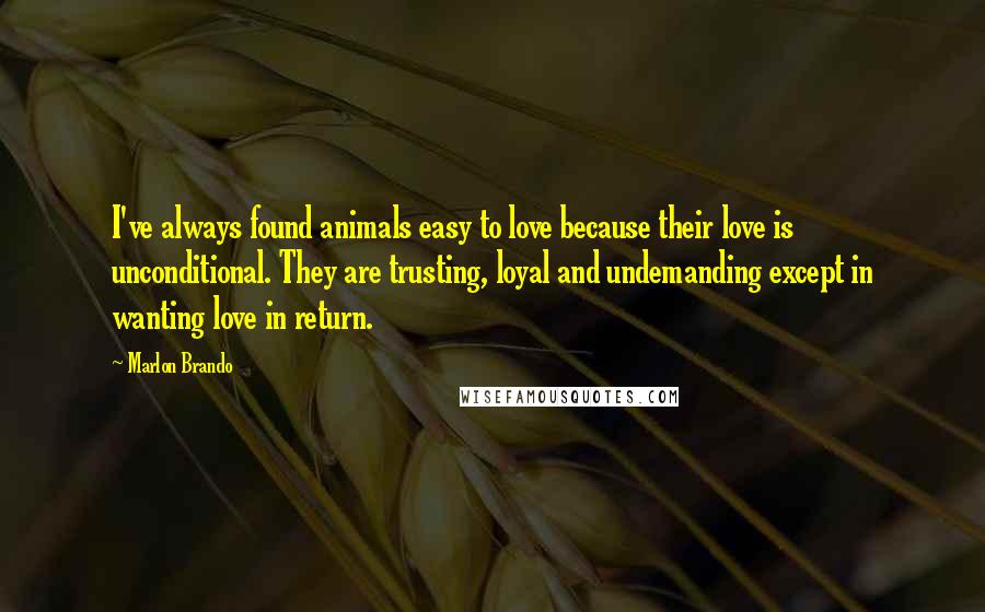 Marlon Brando Quotes: I've always found animals easy to love because their love is unconditional. They are trusting, loyal and undemanding except in wanting love in return.