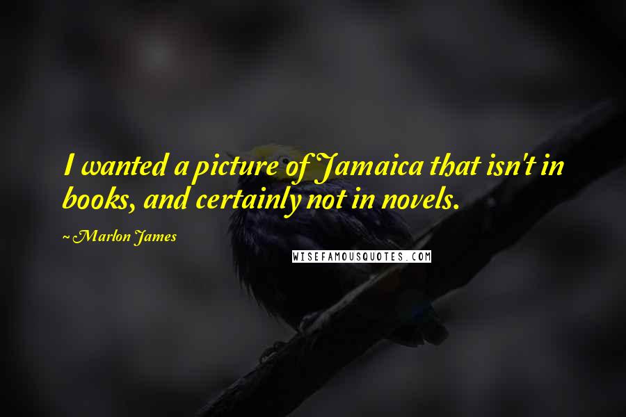 Marlon James Quotes: I wanted a picture of Jamaica that isn't in books, and certainly not in novels.