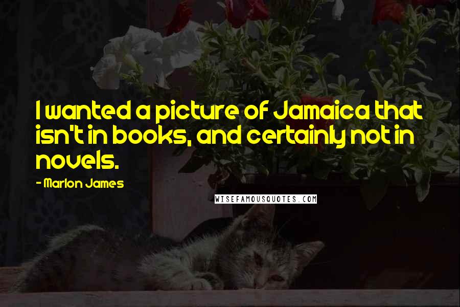 Marlon James Quotes: I wanted a picture of Jamaica that isn't in books, and certainly not in novels.