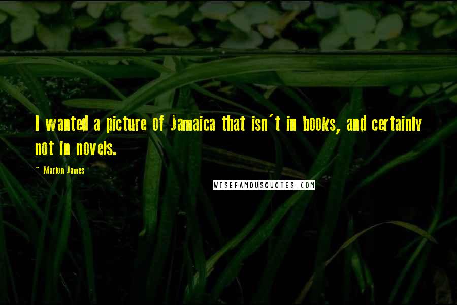 Marlon James Quotes: I wanted a picture of Jamaica that isn't in books, and certainly not in novels.