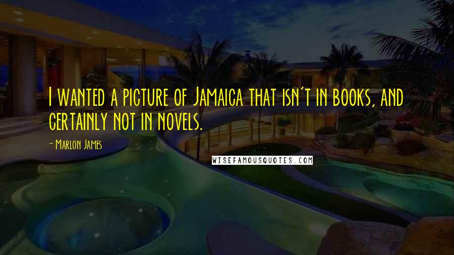 Marlon James Quotes: I wanted a picture of Jamaica that isn't in books, and certainly not in novels.