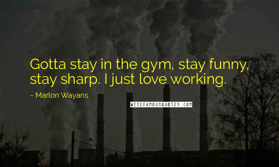 Marlon Wayans Quotes: Gotta stay in the gym, stay funny, stay sharp. I just love working.