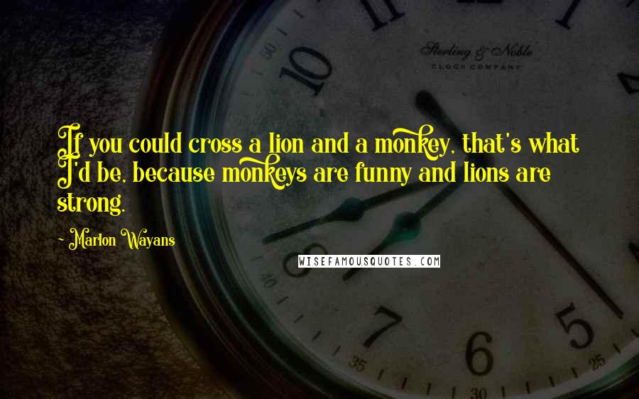 Marlon Wayans Quotes: If you could cross a lion and a monkey, that's what I'd be, because monkeys are funny and lions are strong.