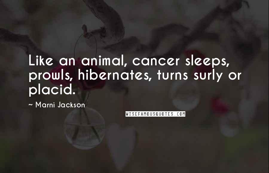 Marni Jackson Quotes: Like an animal, cancer sleeps, prowls, hibernates, turns surly or placid.