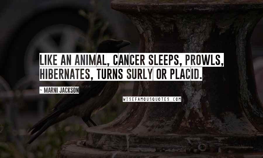 Marni Jackson Quotes: Like an animal, cancer sleeps, prowls, hibernates, turns surly or placid.