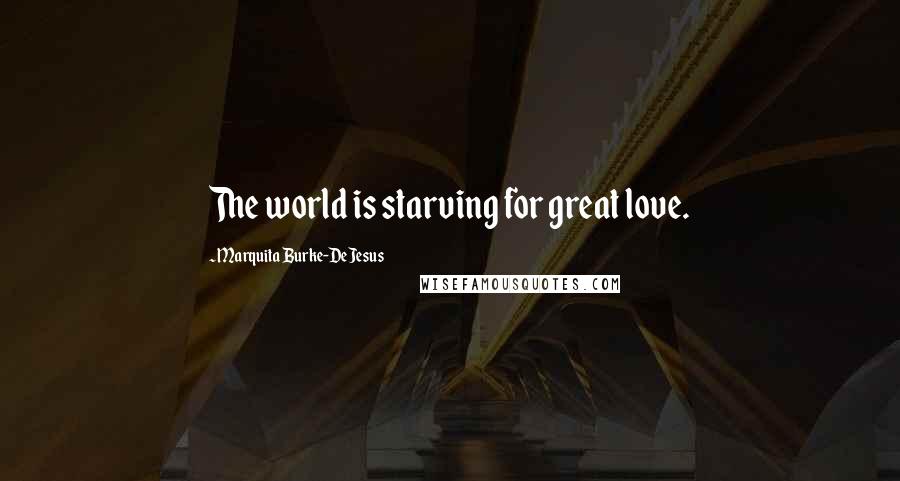 Marquita Burke-DeJesus Quotes: The world is starving for great love.