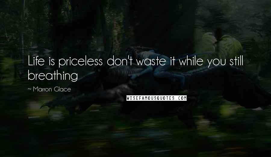 Marron Glace Quotes: Life is priceless don't waste it while you still breathing